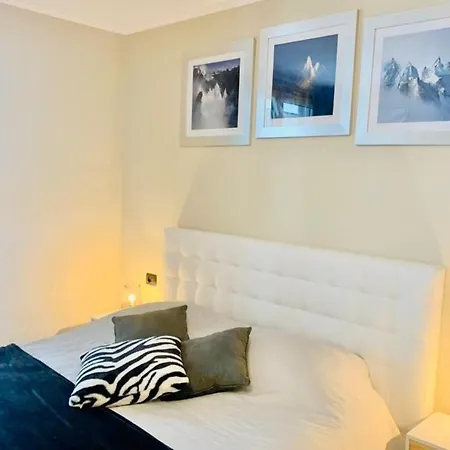 Apartment In The Center With A View Of Mont Blanc